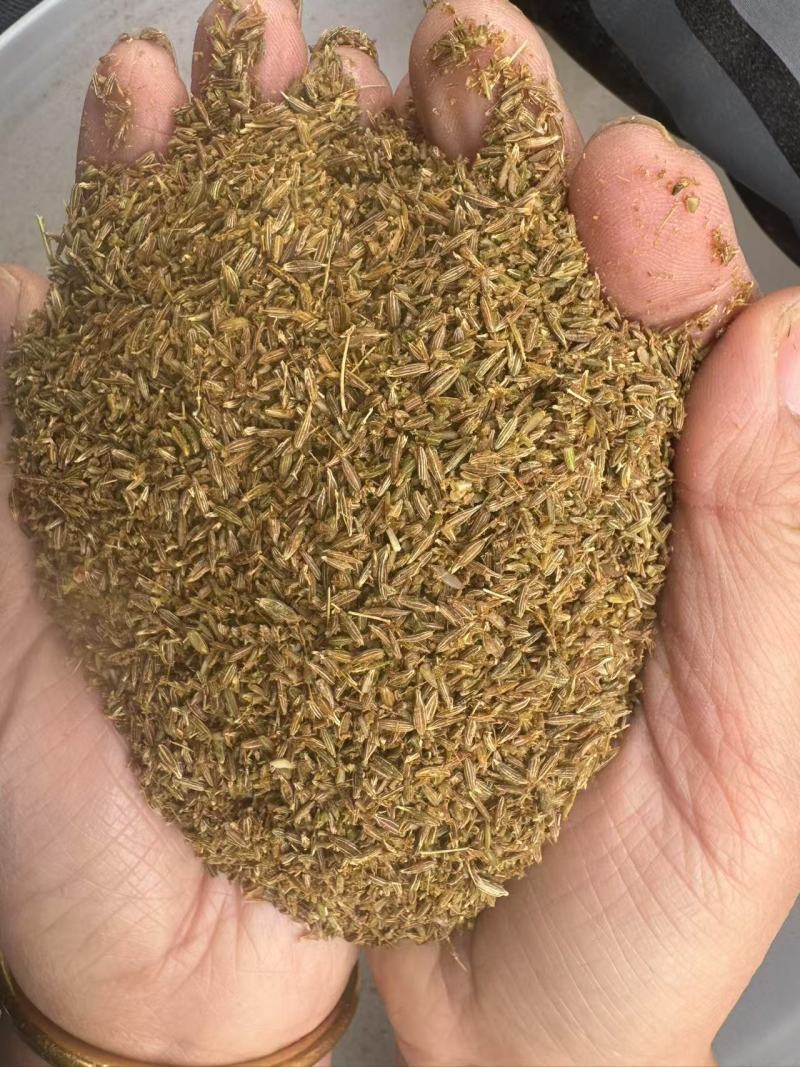 孜然孜然碎孜然粉产地生产厂家**电商市场
