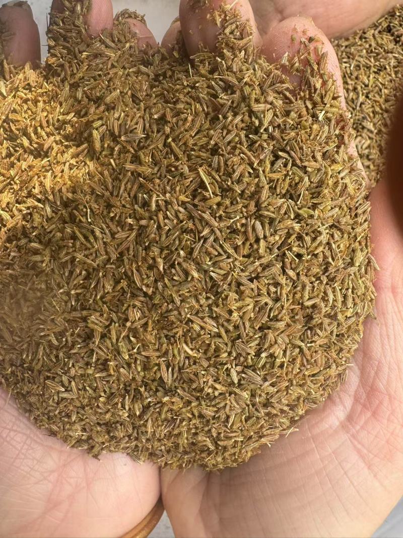 孜然孜然碎孜然粉产地生产厂家**电商市场