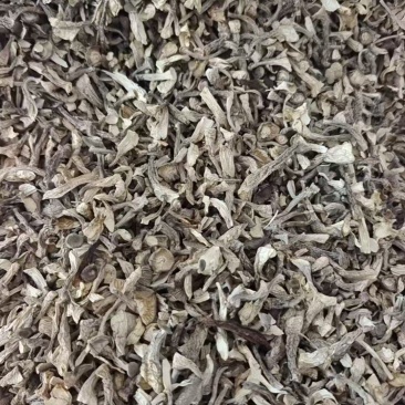 碎断帽鹿茸菇大量有货，价格便宜，先咨询再下单