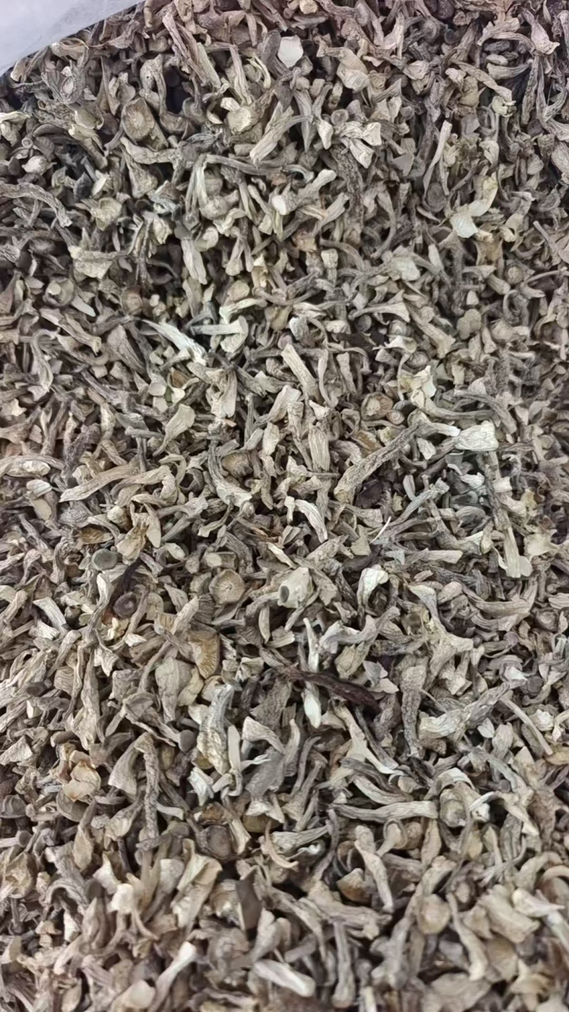 碎断帽鹿茸菇大量有货，价格便宜，先咨询再下单