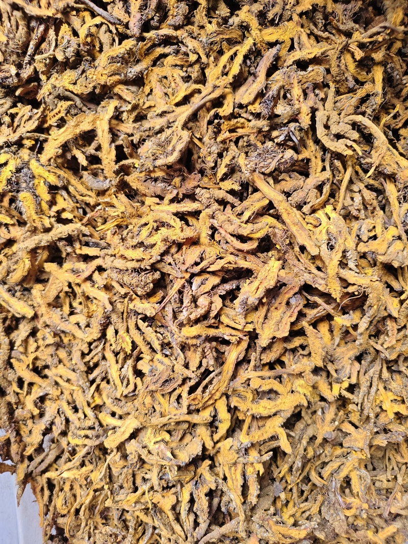 中药材黄连片正宗鸡爪黄连切片黄连渣散装批发