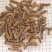 中药材蒲公英根500g炒蒲公英根干货炒熟蒲公英根茶