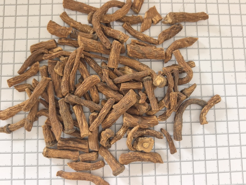 中药材蒲公英根500g炒蒲公英根干货炒熟蒲公英根茶