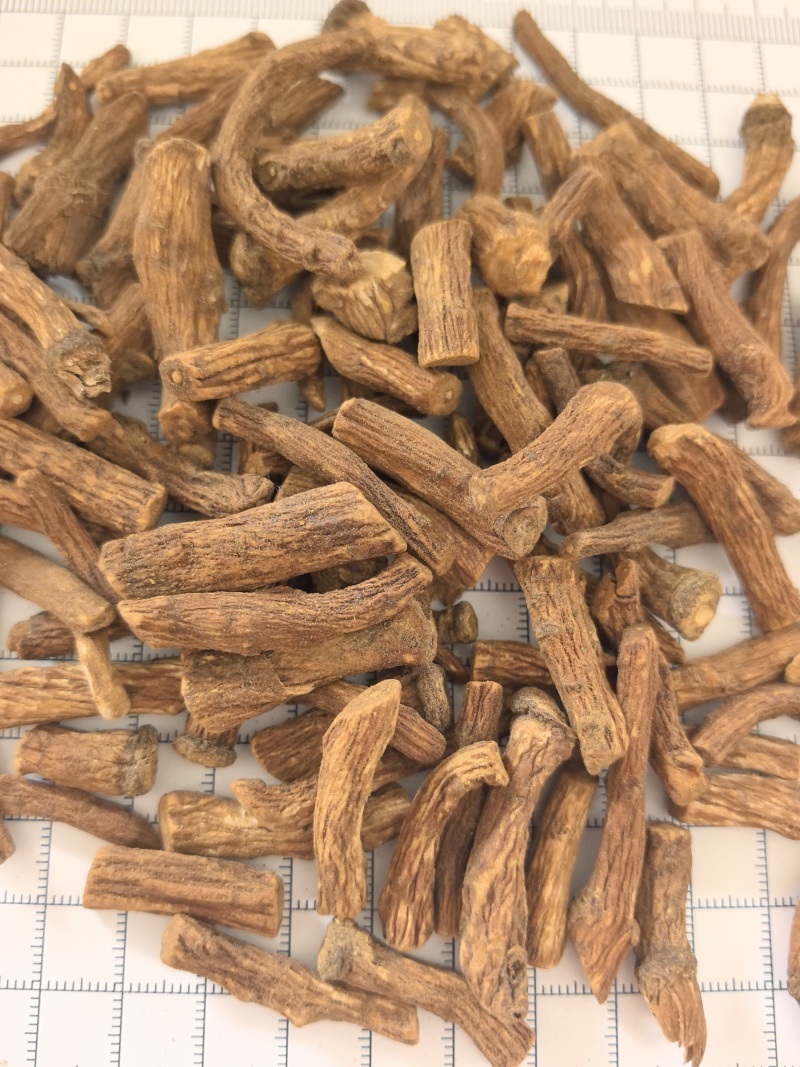 中药材蒲公英根500g炒蒲公英根干货炒熟蒲公英根茶