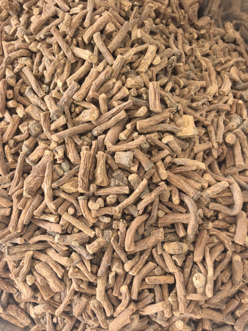 中药材蒲公英根500g炒蒲公英根干货炒熟蒲公英根茶