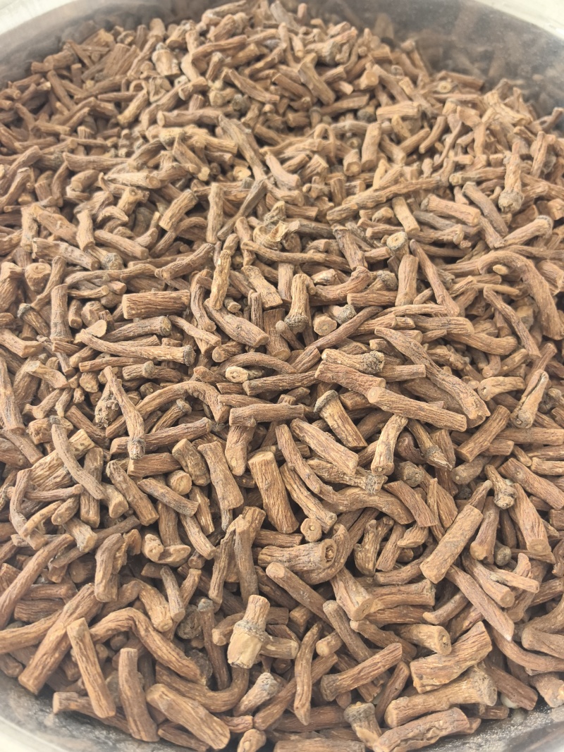 中药材蒲公英根500g炒蒲公英根干货炒熟蒲公英根茶