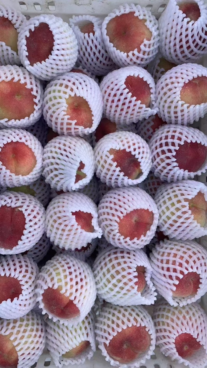 🍑精品水蜜桃味美多汁果味浓郁