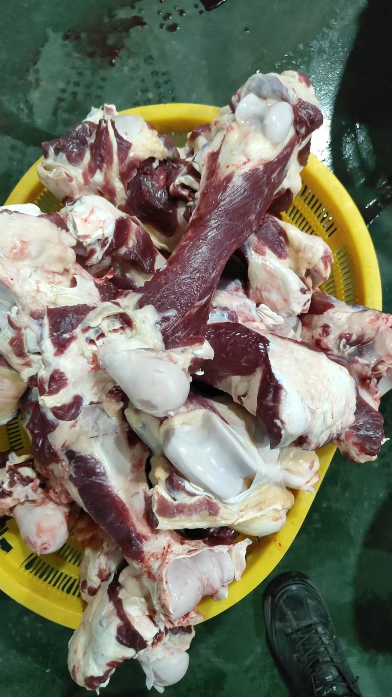 【牛肉棒骨】当地草原黄牛的屠宰场直销，超码的，免费加工！