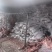 羊肉批发烤全羊羊白条