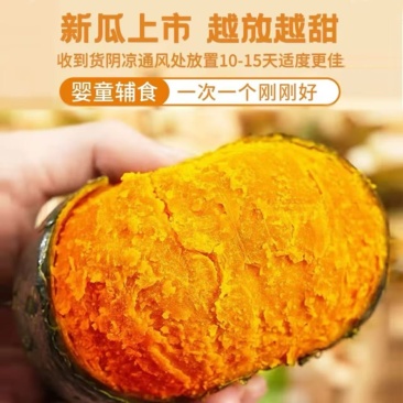 贝贝南瓜，粉糯香甜，大量有货，欢迎来电咨询☝️🤝