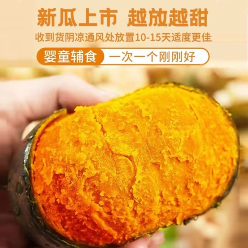 贝贝南瓜，粉糯香甜，大量有货，欢迎来电咨询☝️🤝