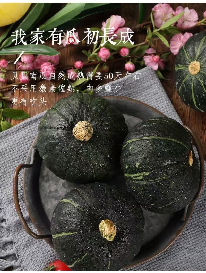贝贝南瓜，粉糯香甜，大量有货，欢迎来电咨询☝️🤝