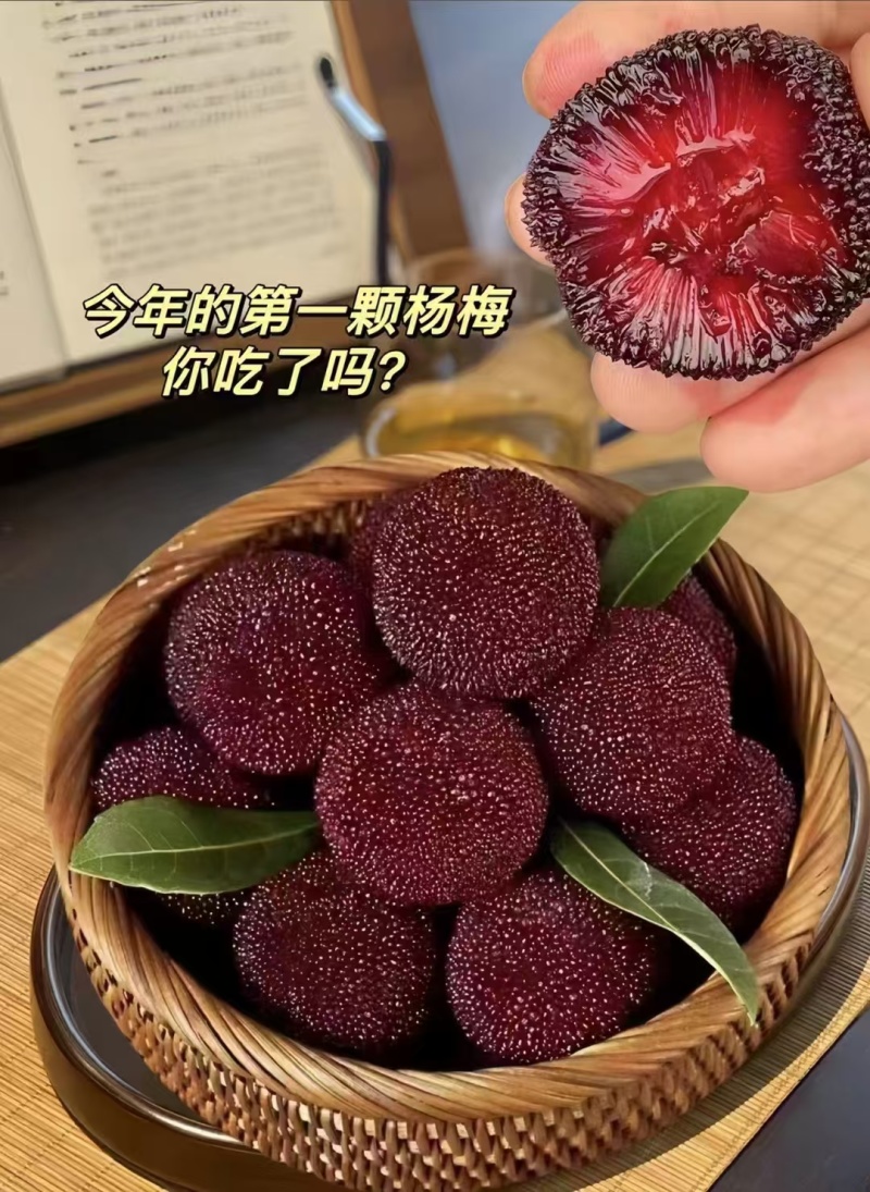 浙江仙居东魁杨梅