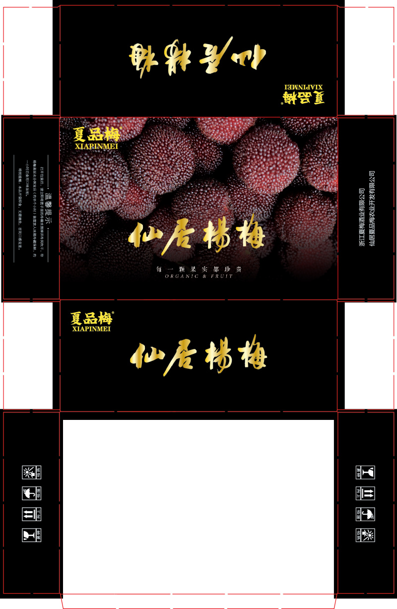 浙江仙居东魁杨梅