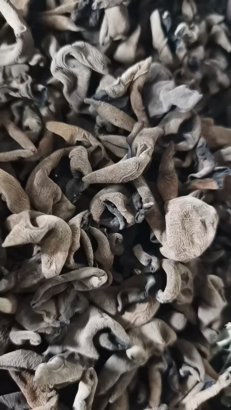 精品黑山木耳量少速购1.0～1.3