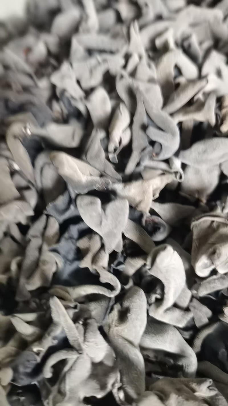精品黑山木耳量少速购1.0～1.3