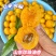 山东珍珠油杏原产地直供
