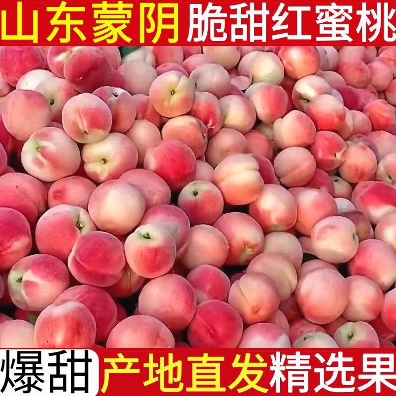 山东临沂蒙阴蜜桃水蜜桃。春雪，突围，8号等对接商超电商