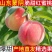 山东临沂蒙阴蜜桃水蜜桃。春雪，突围，8号等对接商超电商