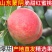 山东临沂蒙阴蜜桃水蜜桃。春雪，突围，8号等对接商超电商
