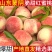 山东临沂蒙阴蜜桃水蜜桃。春雪，突围，8号等对接商超电商
