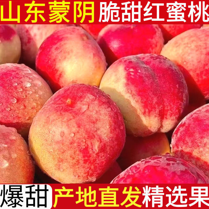 山东临沂蒙阴蜜桃水蜜桃。春雪，突围，8号等对接商超电商