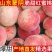山东临沂蒙阴蜜桃水蜜桃。春雪，突围，8号等对接商超电商