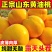 山东蒙阴黄油桃对接商超市场档口，电商等渠道