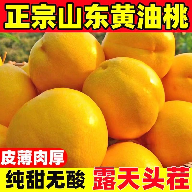 山东蒙阴黄油桃对接商超市场档口，电商等渠道