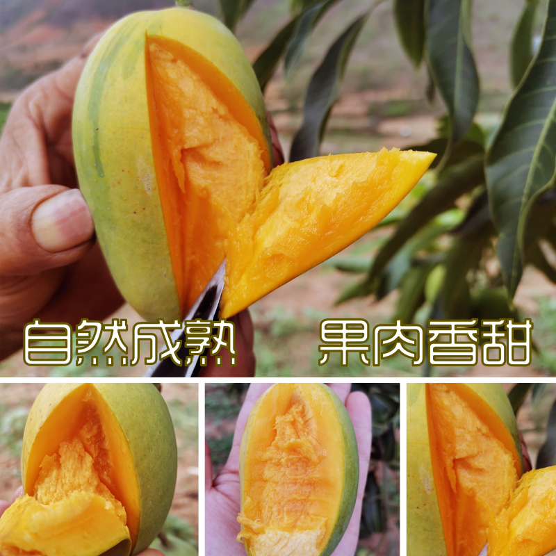 芒果，椰香芒/鸡蛋芒