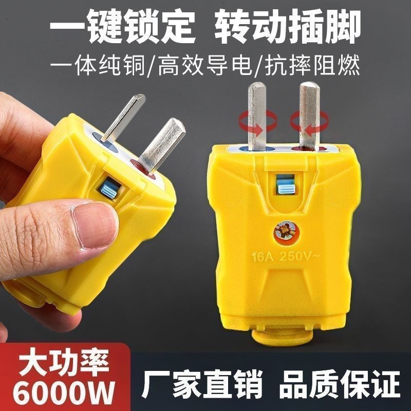 新款插头5000W加厚纯铜插头二脚防摔10A大功率电源二