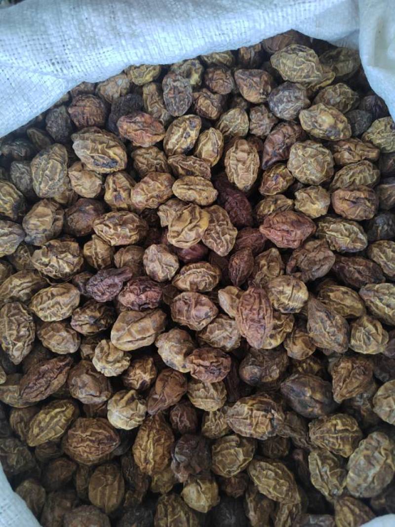 云南临沧中药材诃子统货