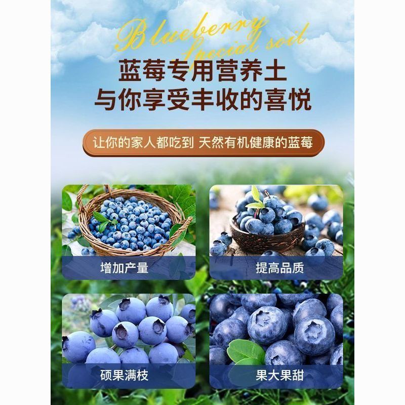 栽培基质蓝莓专用种植土酸性土壤蓝莓种植基质进口泥炭土