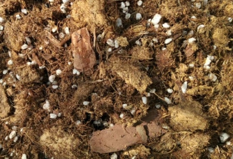 栽培基质蓝莓专用种植土酸性土壤蓝莓种植基质进口泥炭土