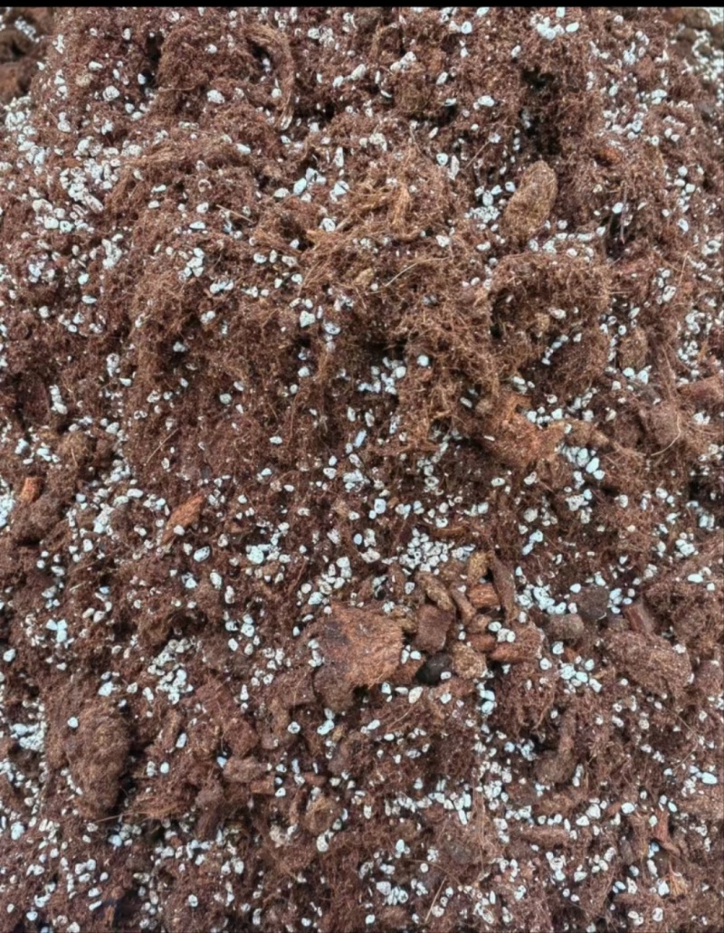 栽培基质蓝莓专用种植土酸性土壤蓝莓种植基质进口泥炭土
