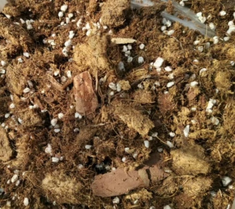 栽培基质蓝莓专用种植土酸性土壤蓝莓种植基质进口泥炭土