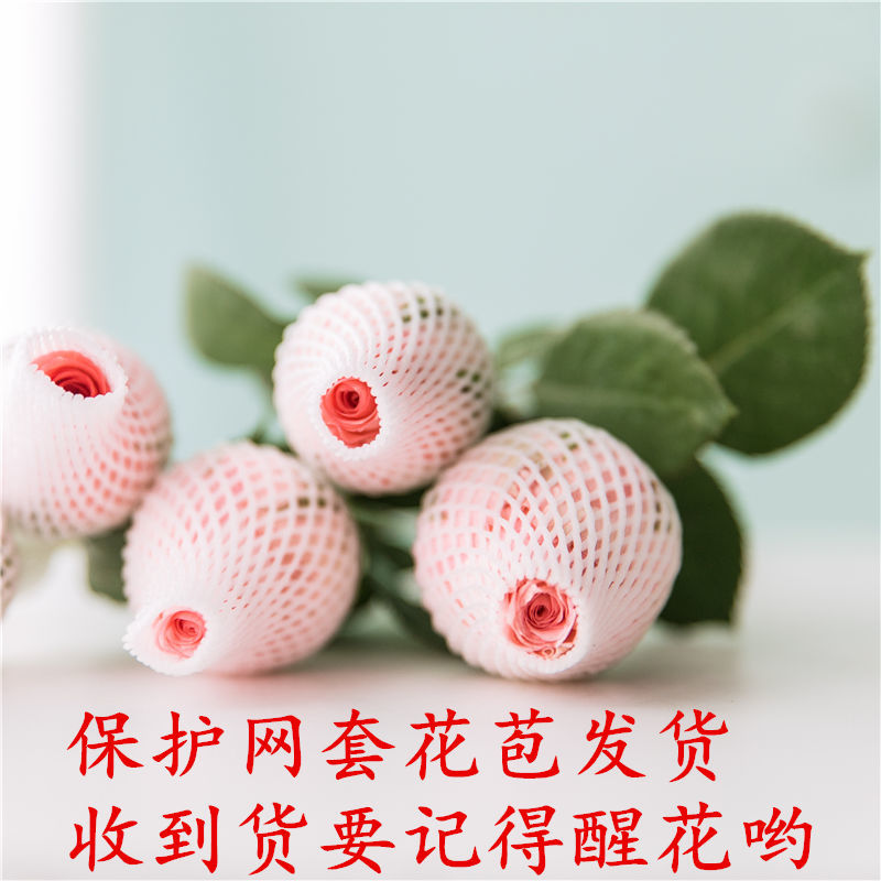 戴安娜粉玫瑰云南昆明玫瑰花鲜花基地直发礼物花束鲜切花