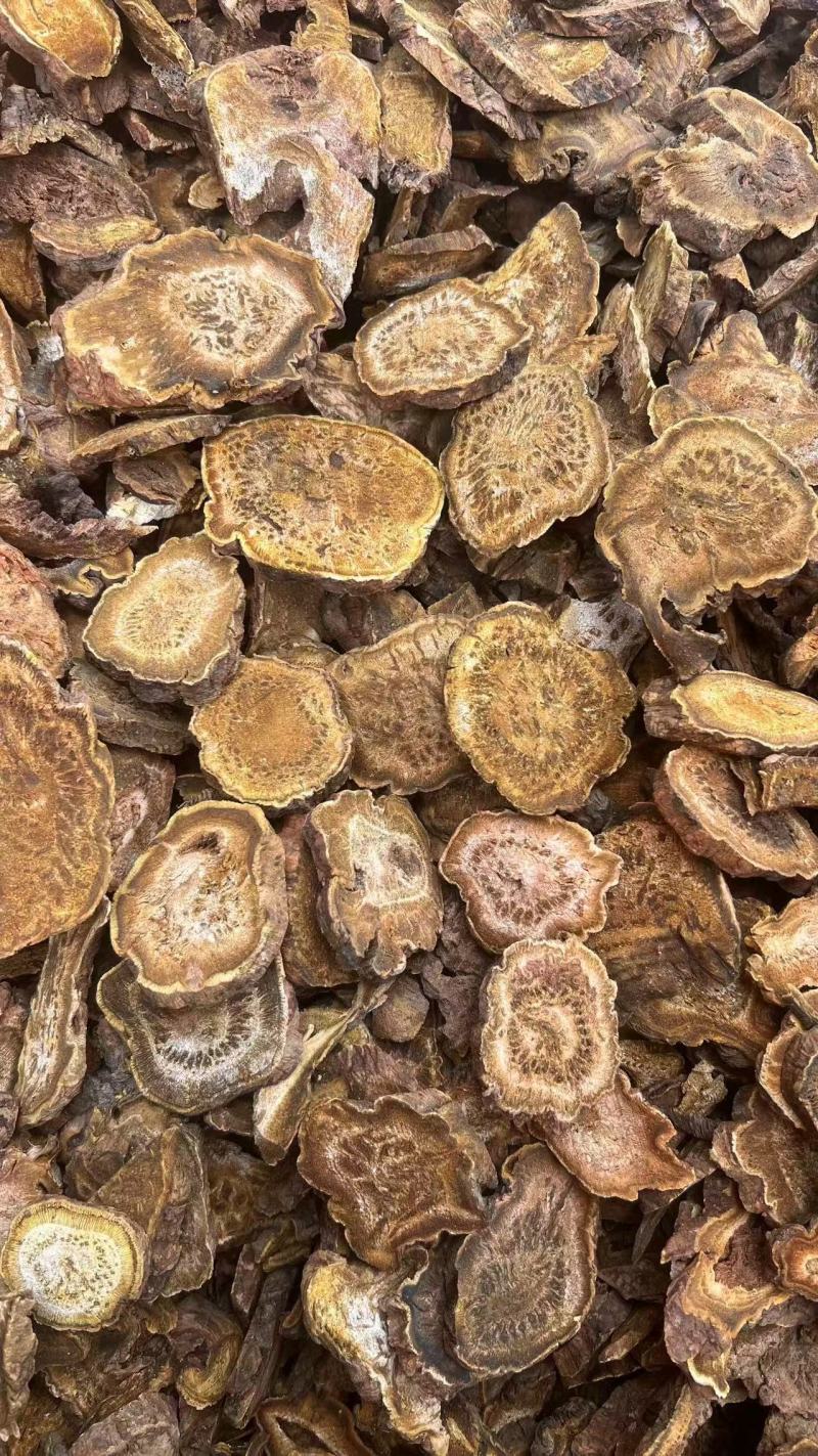 大黄可打粉药用兽用各种规格大黄质量保证量大从优