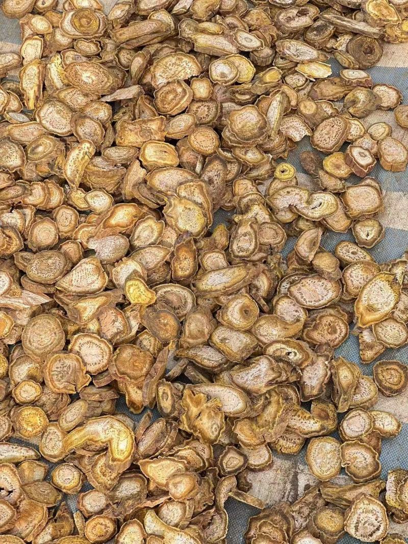大黄可打粉药用兽用各种规格大黄质量保证量大从优