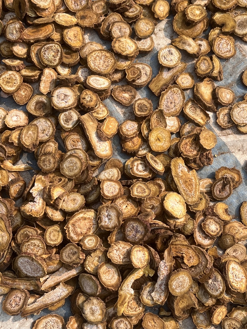 大黄可打粉药用兽用各种规格大黄质量保证量大从优