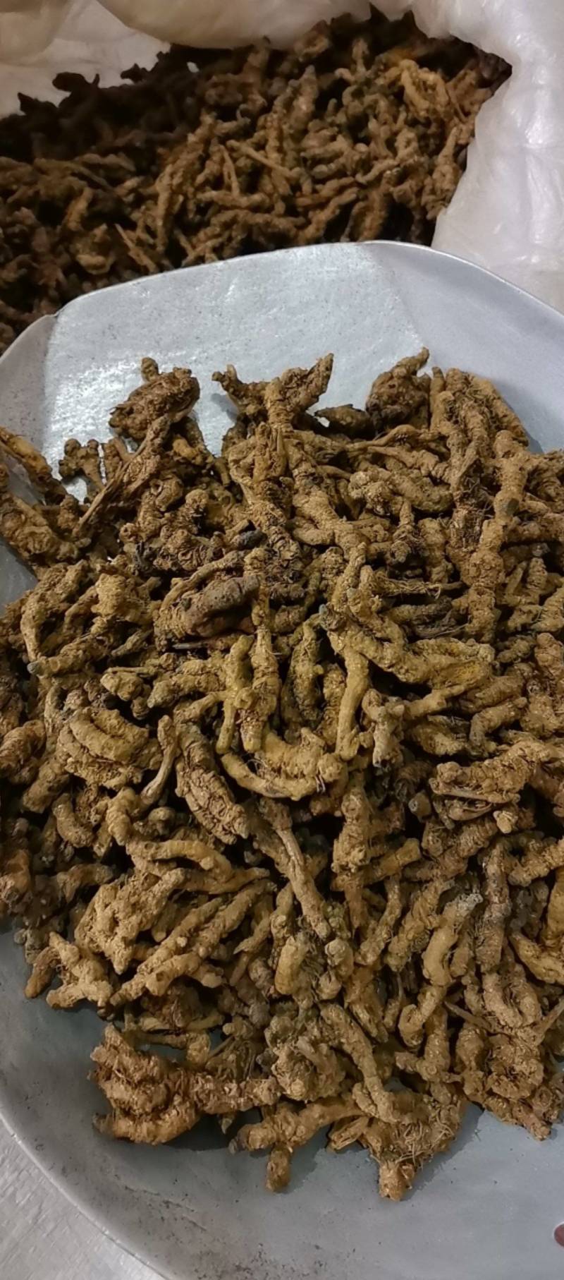 山东菏泽一手货源黄连品质好价格优对接全国市场欢迎采购
