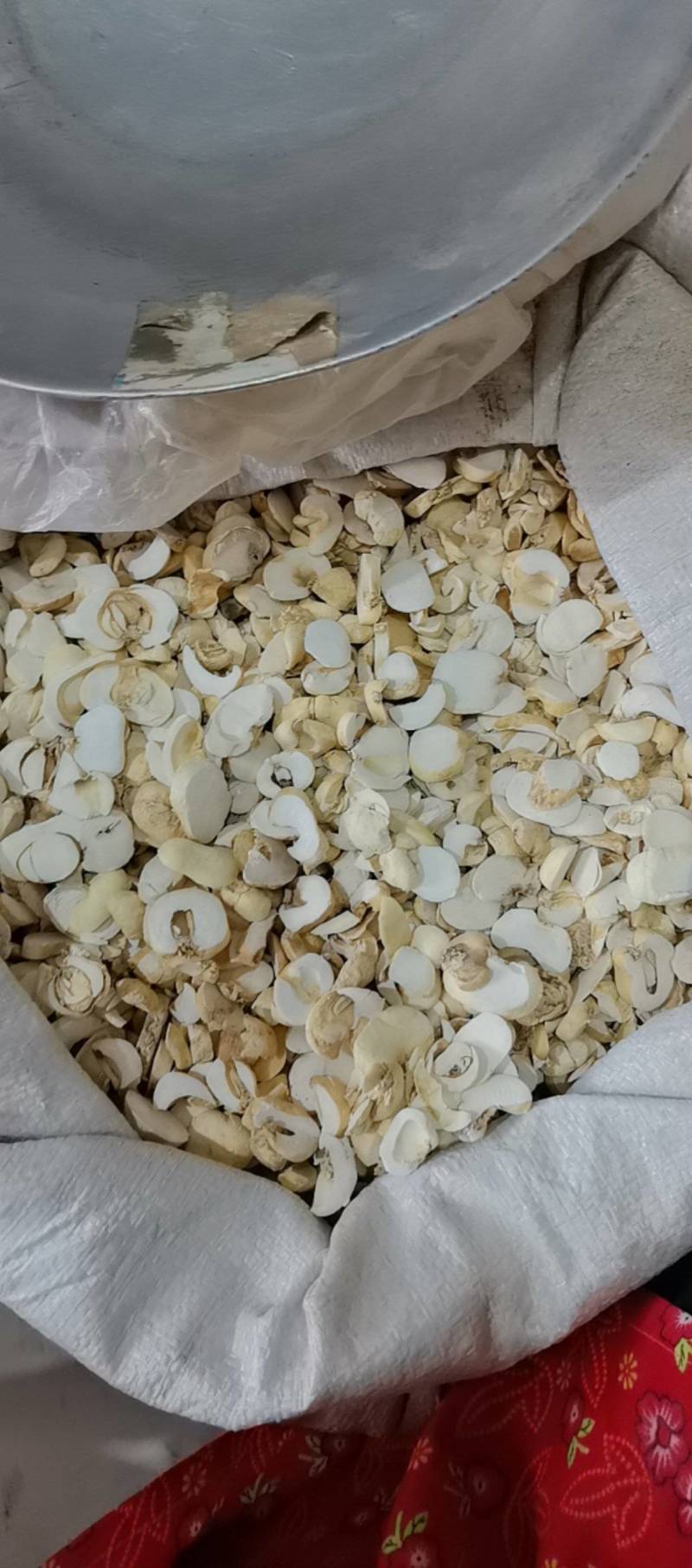 山东菏泽一手货源浙贝母片品质好价格优对接全国市场欢迎采购