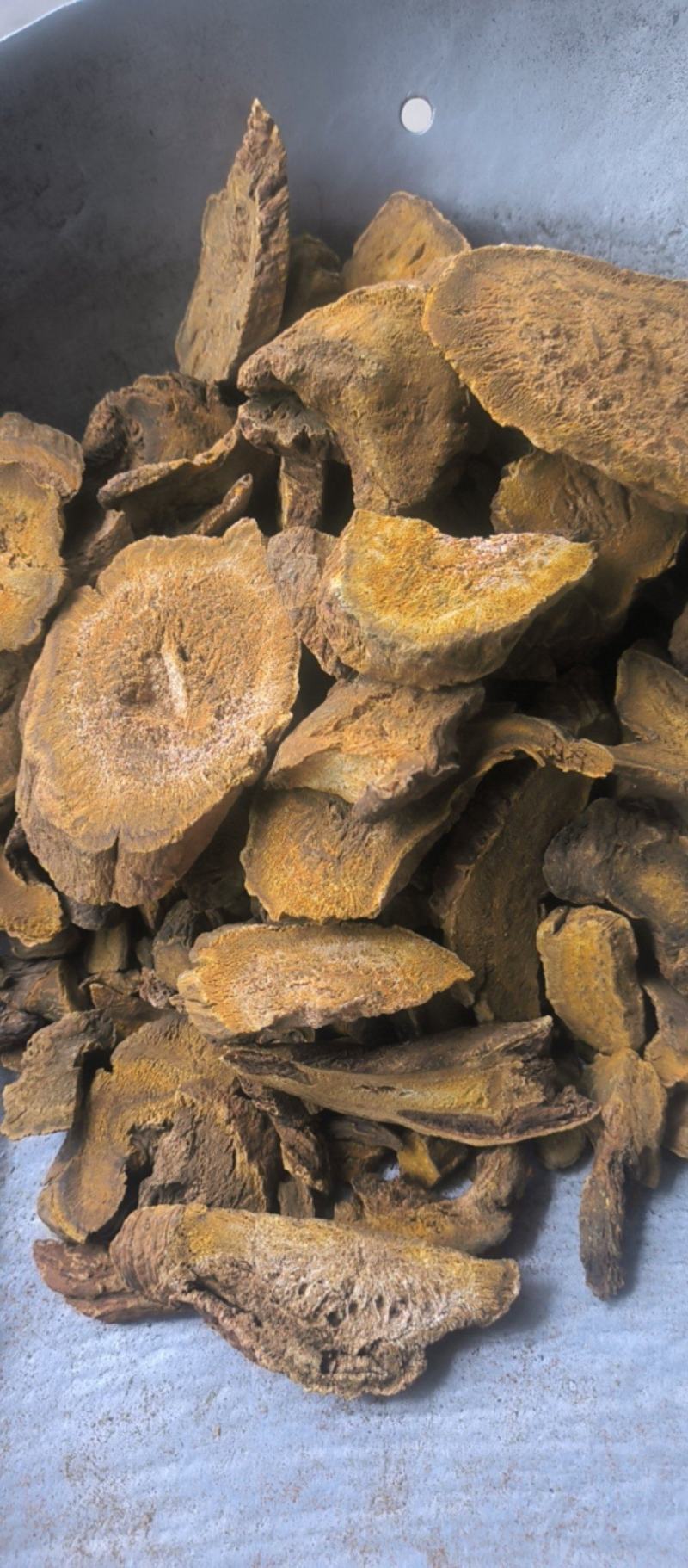 大黄可打粉药用兽用各种规格大黄质量保证量大从优