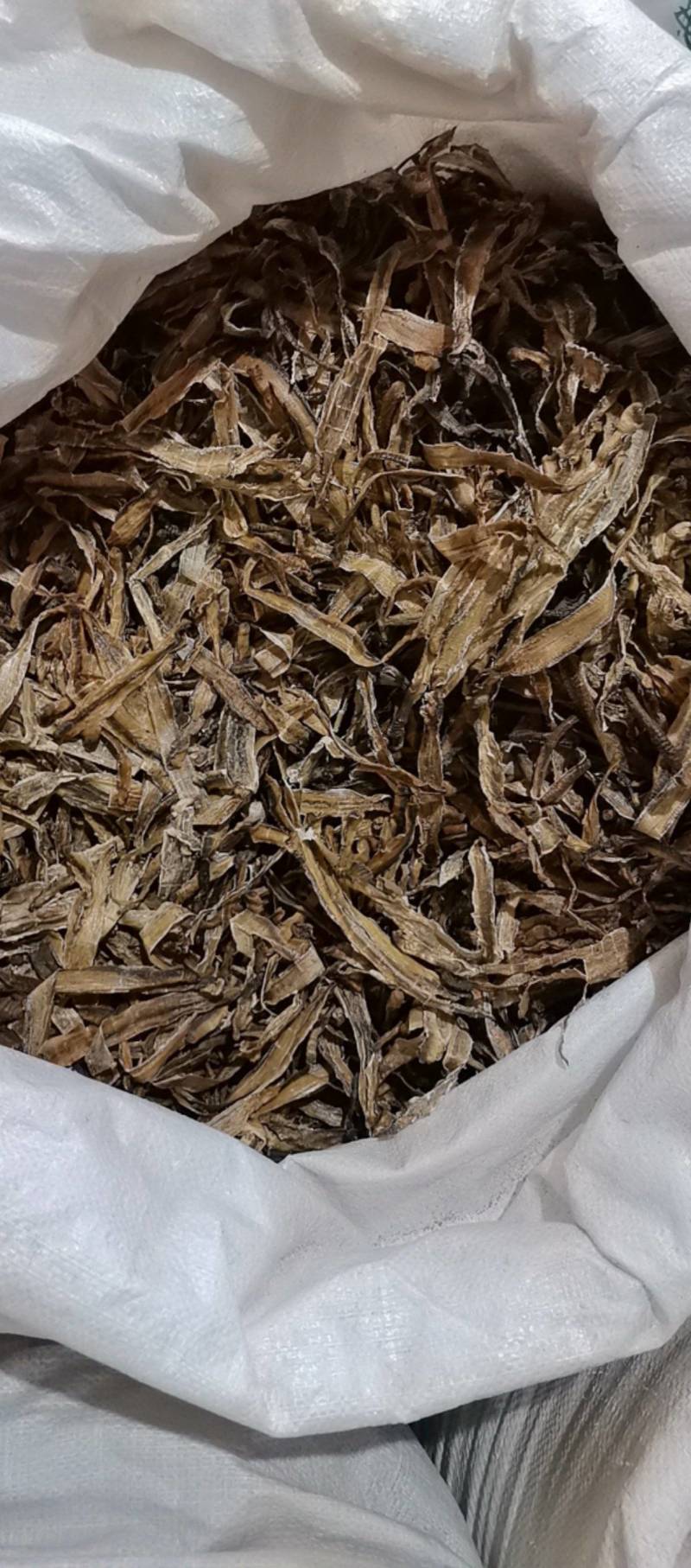 山东菏泽一手货源地龙品质好价格优对接全国市场欢迎采购