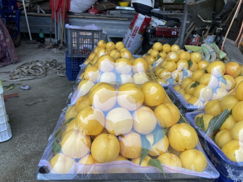 黄油桃很快上市。预定的提前
