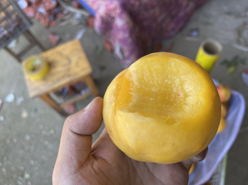 黄油桃很快上市。预定的提前