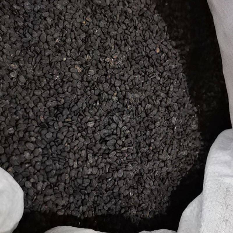 山东菏泽一手货源补骨脂品质好价格优对接全国市场欢迎采购