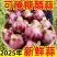山东大蒜，产地直发全国，接【电商、出口、市场】货源充足