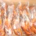 精品烤鸭全熟去头带脖子或者去头去脖子加热即食欢迎联系