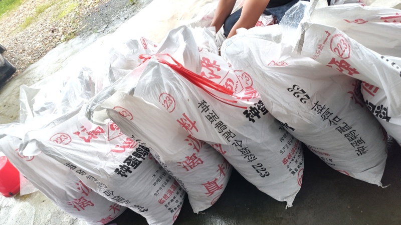 酸豆角大量供应，一手货源，保质保量，可视品验货